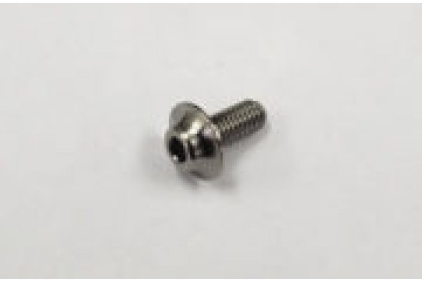REVE D SPM TITANIUM MOTOR SCREW (2pcs.) (RT-002)